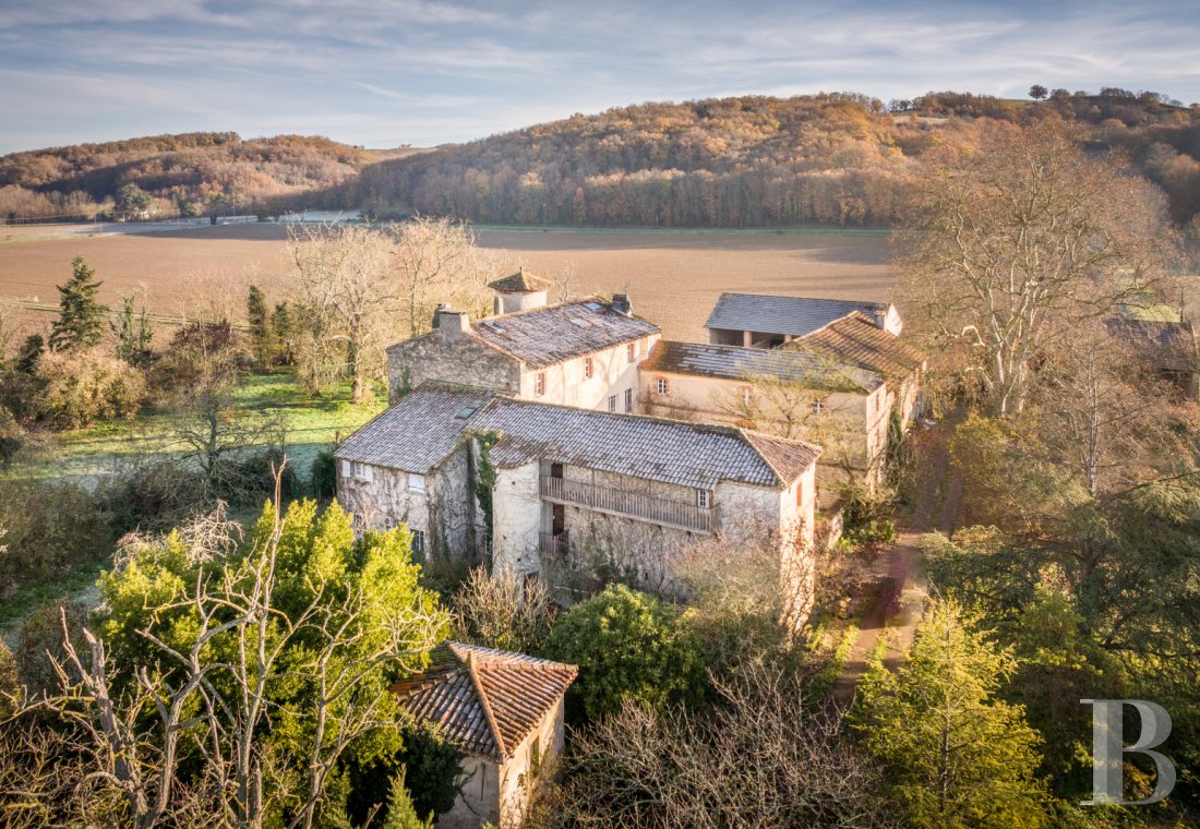 chateaux a vendre midi pyrenees   - 1