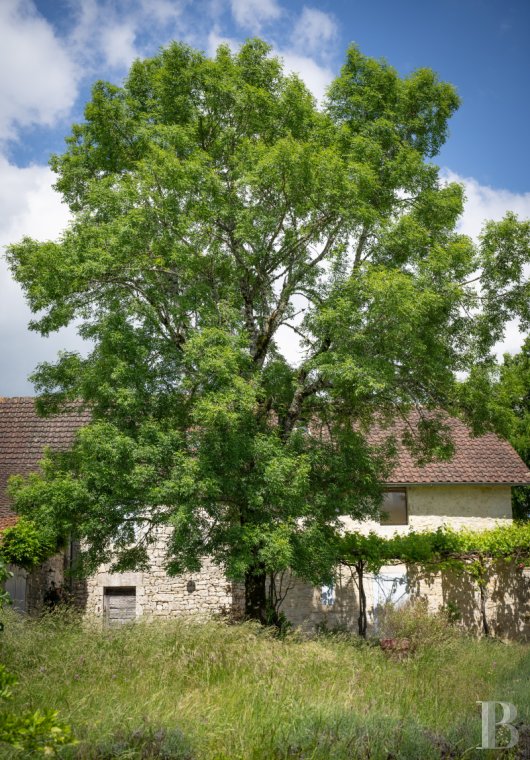 Au sud de la Dordogne et à proximité de Cahors, une ancienne ferme quercynoise au sommet d’une colline - photo  n°15