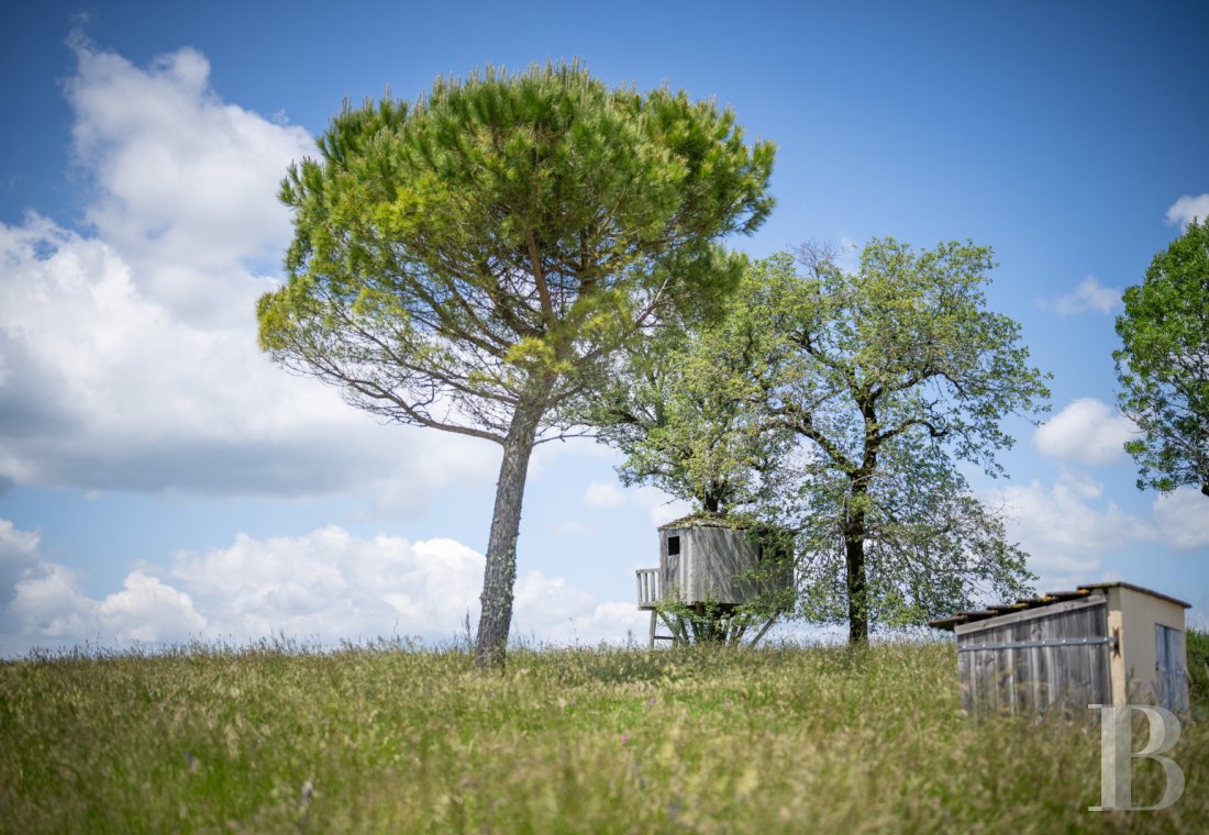 Au sud de la Dordogne et à proximité de Cahors, une ancienne ferme quercynoise au sommet d’une colline - photo  n°16