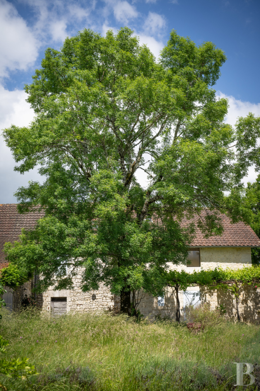 Au sud de la Dordogne et à proximité de Cahors, une ancienne ferme quercynoise au sommet d’une colline - photo  n°15