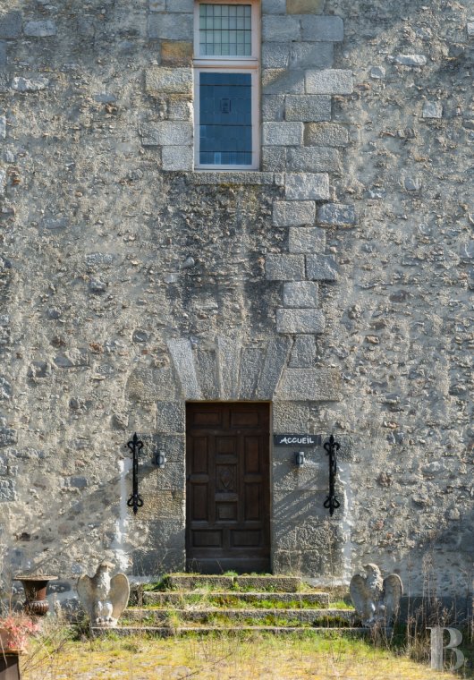 chateaux a vendre ile de france   - 7