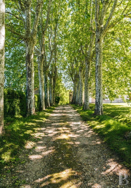 chateaux a vendre rhones alpes   - 19