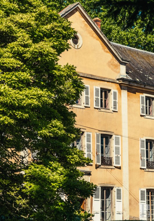 chateaux a vendre rhones alpes   - 15