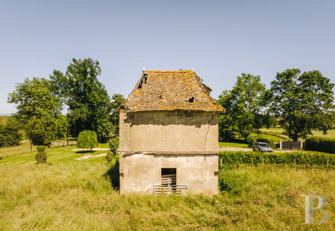 chateaux a vendre rhones alpes   - 15