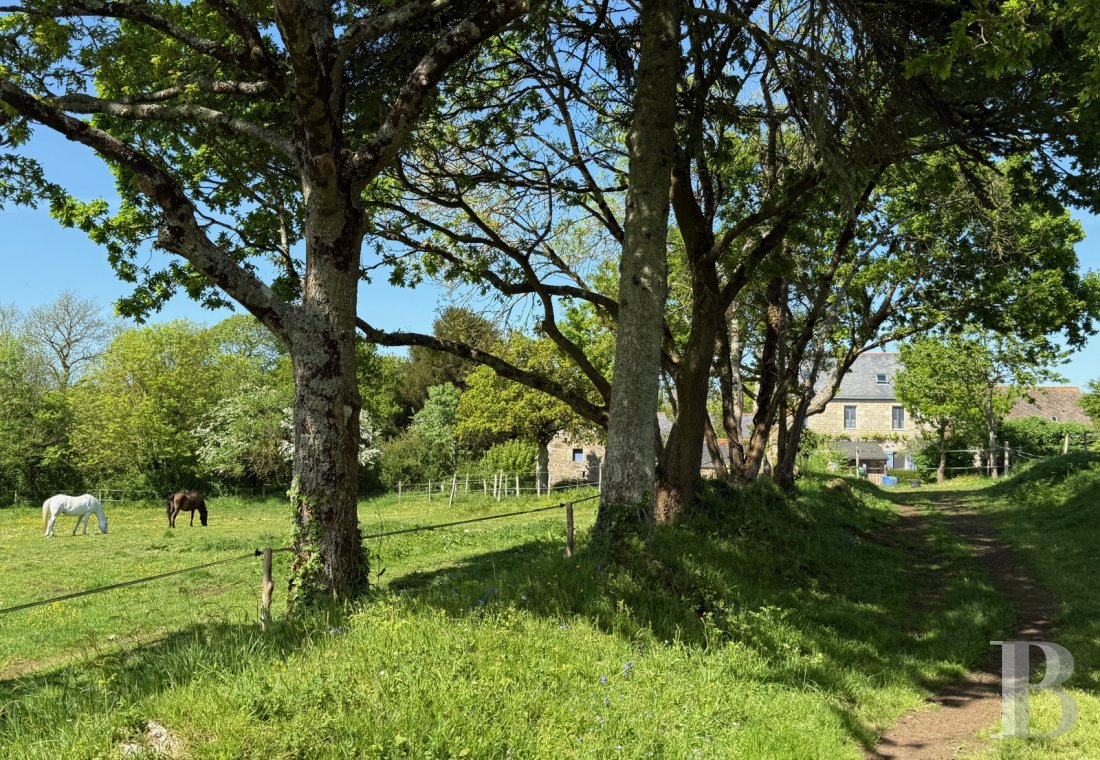 character properties France brittany   - 1