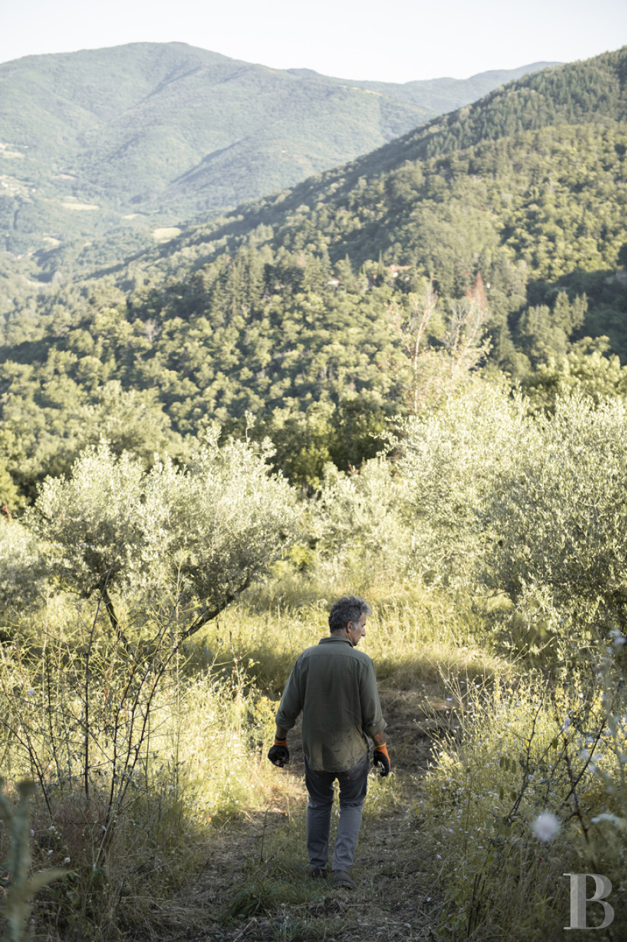 An old renovated farmhouse between Arezzo and Cortona in Tuscany  - photo  n°3