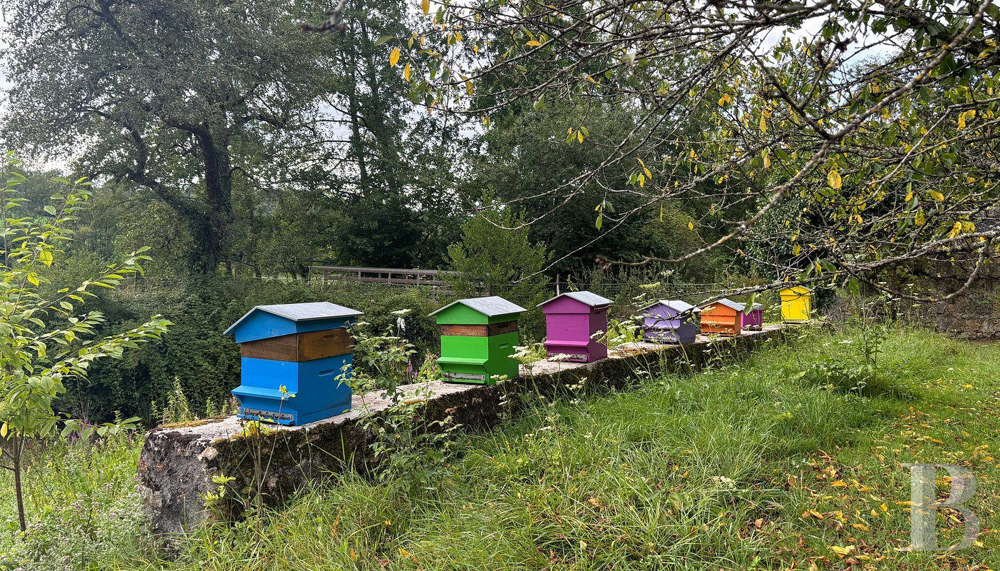 A former château-monastery and its 150-hectare estate near Loches, in Touraine - photo  n°8