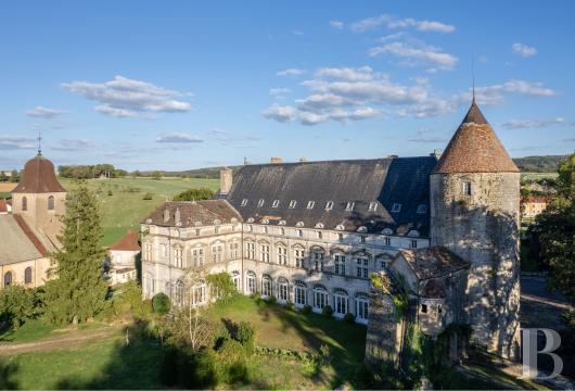 franche-comte - À 40 min de Besançon, dans un parc de près de 3 ha, un château inscrit MH d’origine médiévale remanié à la Renaissance avec chapelle, école et atelier