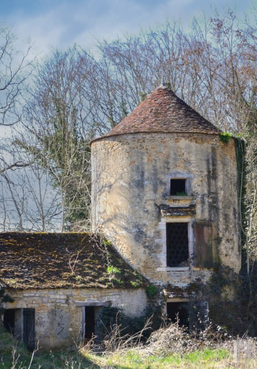 chateaux a vendre bourgogne   - 7