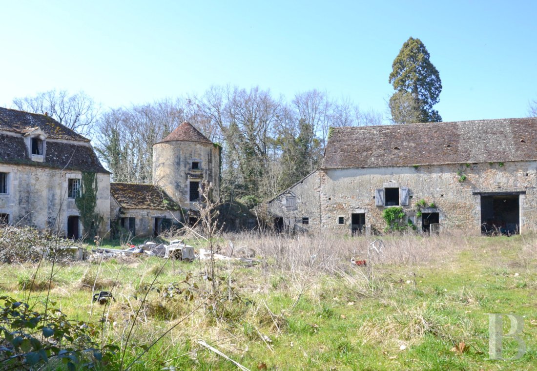 chateaux a vendre bourgogne   - 9