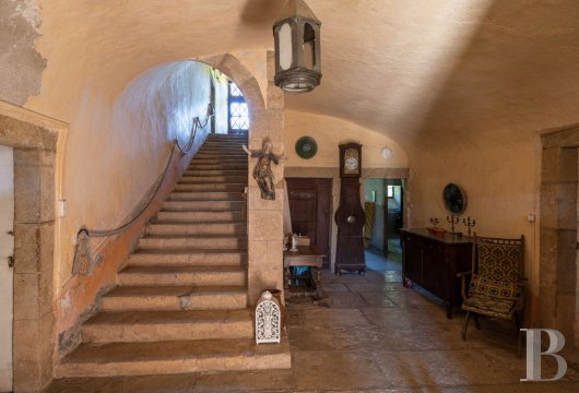chateaux for sale France languedoc roussillon   - 9