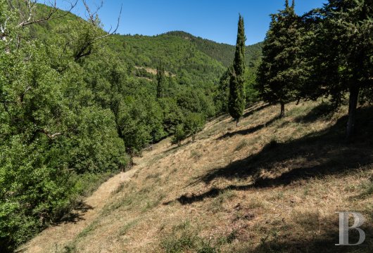 chateaux for sale France languedoc roussillon   - 16