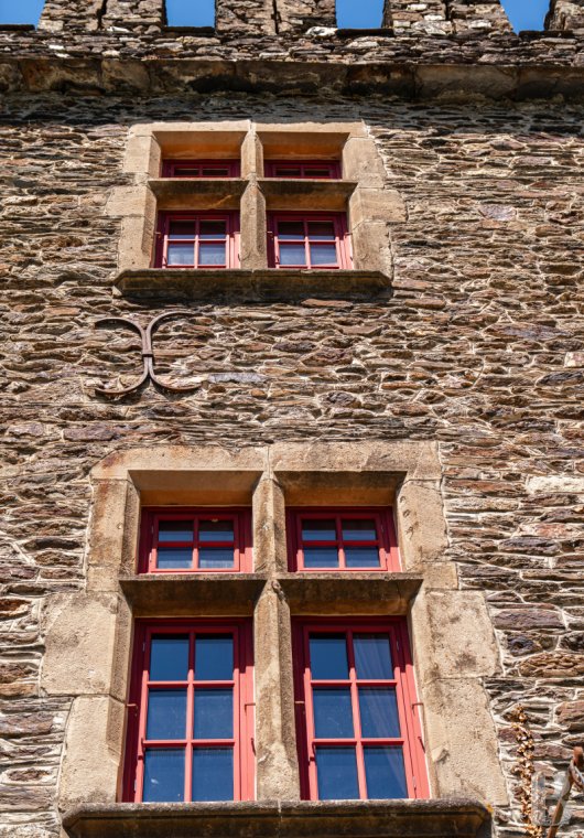 chateaux for sale France languedoc roussillon   - 4