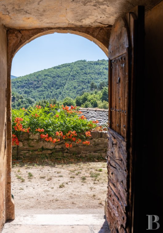chateaux for sale France languedoc roussillon   - 6