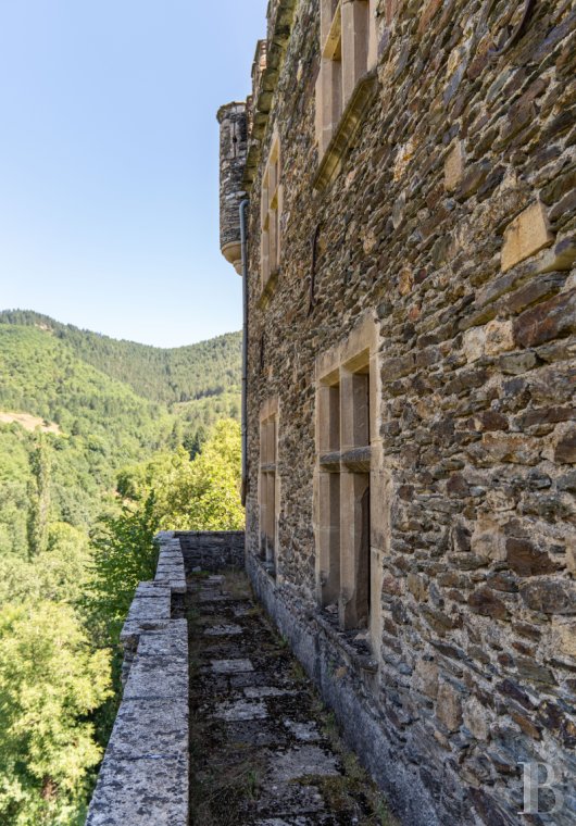chateaux for sale France languedoc roussillon   - 5