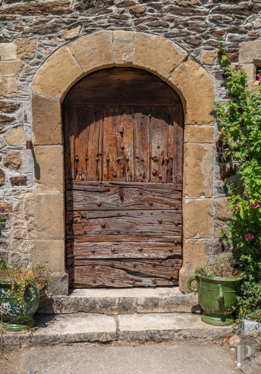 chateaux for sale France languedoc roussillon   - 3