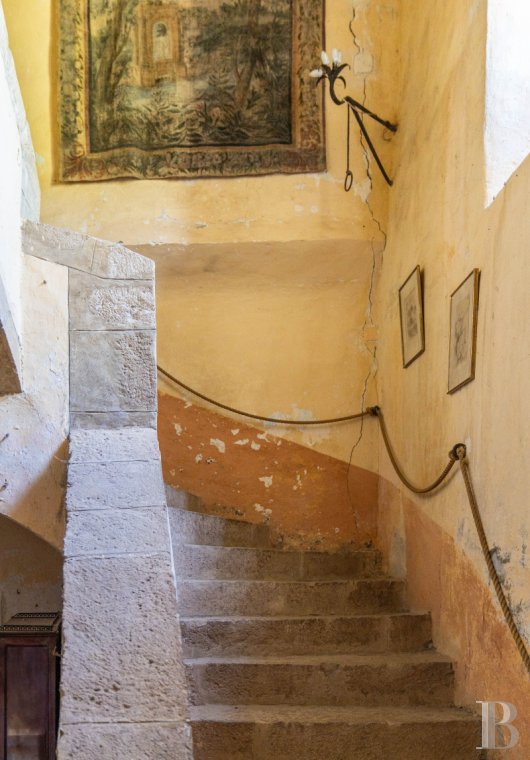 chateaux for sale France languedoc roussillon   - 12
