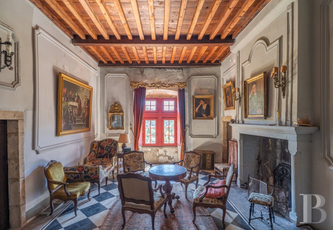 chateaux for sale France languedoc roussillon   - 8