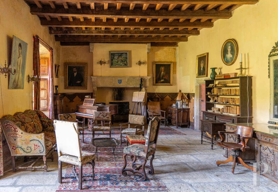 chateaux for sale France languedoc roussillon   - 7
