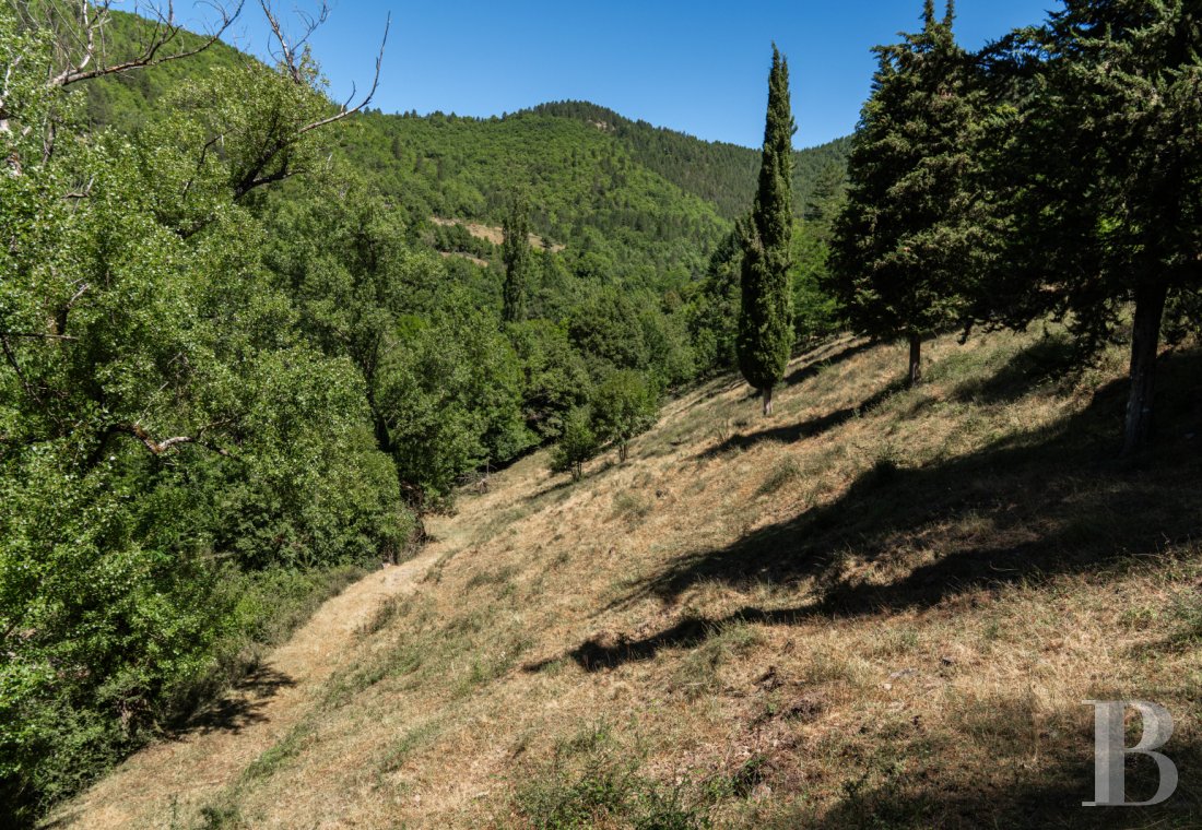 Château · Florac Trois Rivières