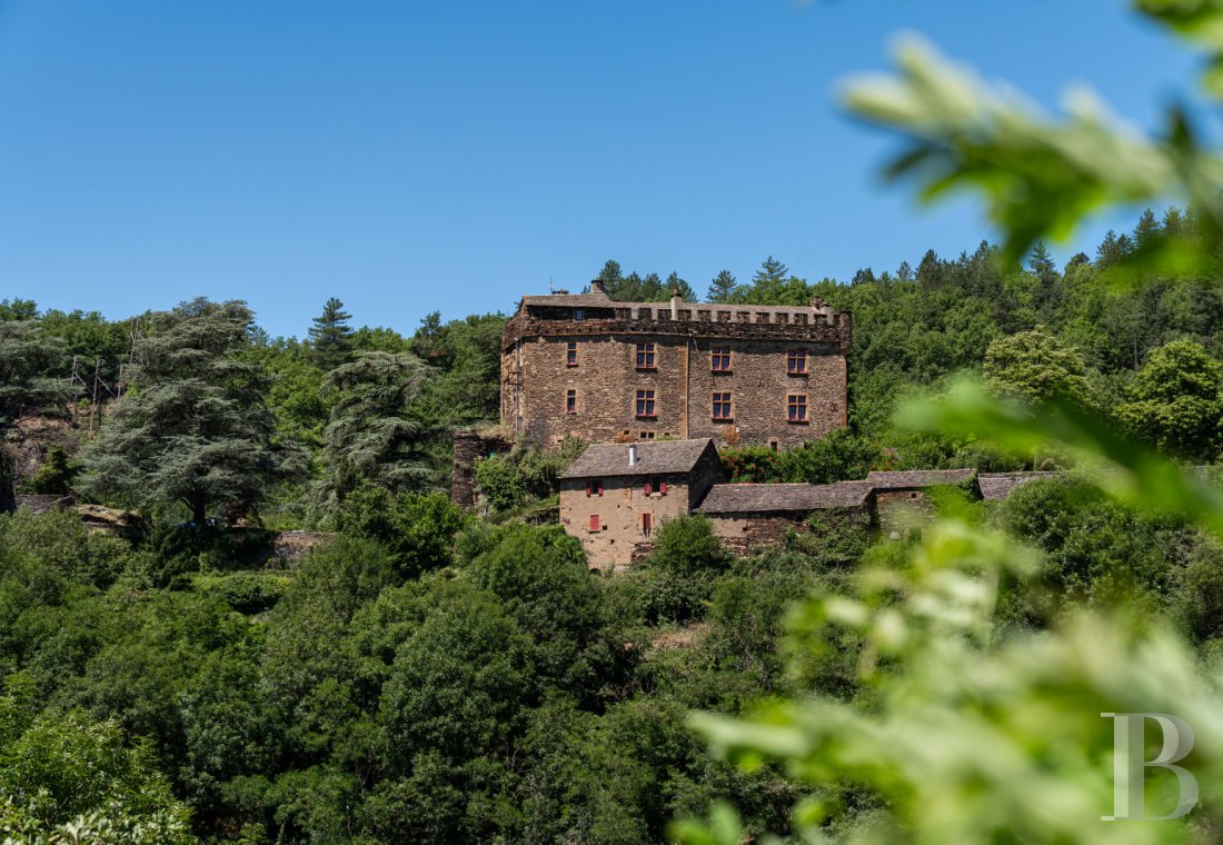 chateaux for sale France languedoc roussillon   - 1
