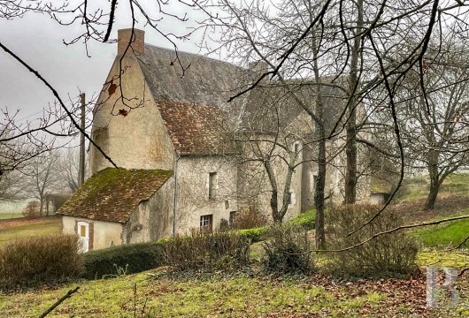 France mansions for sale pays de loire   - 2