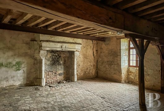 France mansions for sale pays de loire   - 10