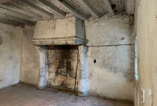 France mansions for sale pays de loire   - 8