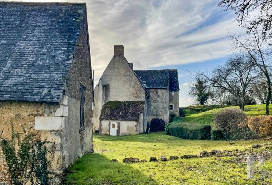 France mansions for sale pays de loire   - 4