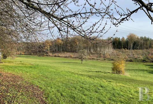 France mansions for sale pays de loire   - 15