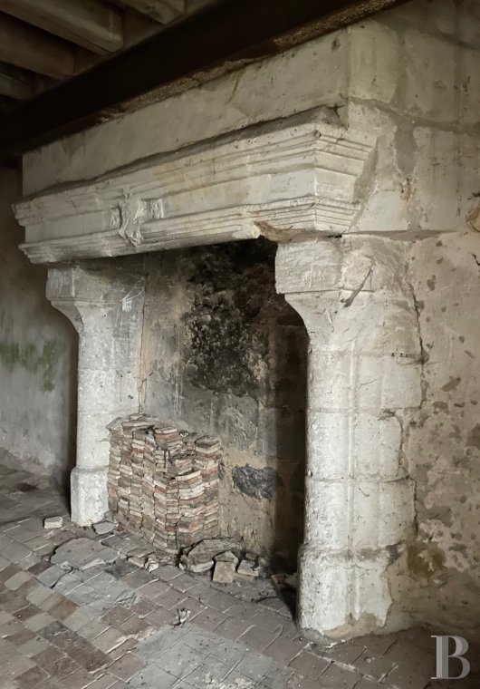 France mansions for sale pays de loire   - 9