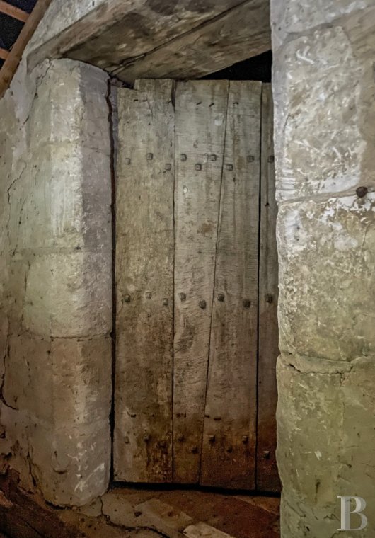 France mansions for sale pays de loire   - 7