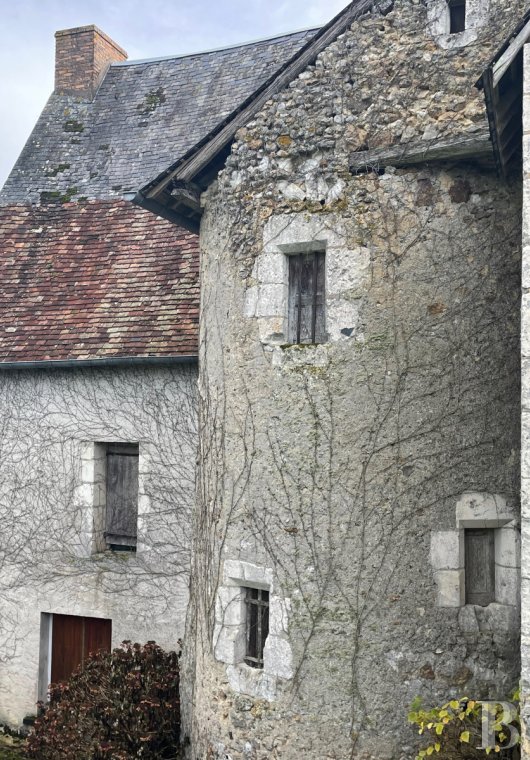 France mansions for sale pays de loire   - 3