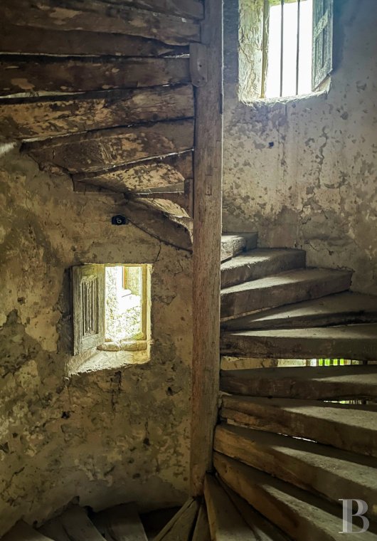 France mansions for sale pays de loire   - 11