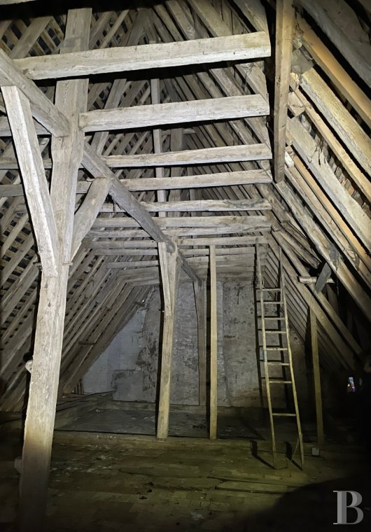 France mansions for sale pays de loire   - 12