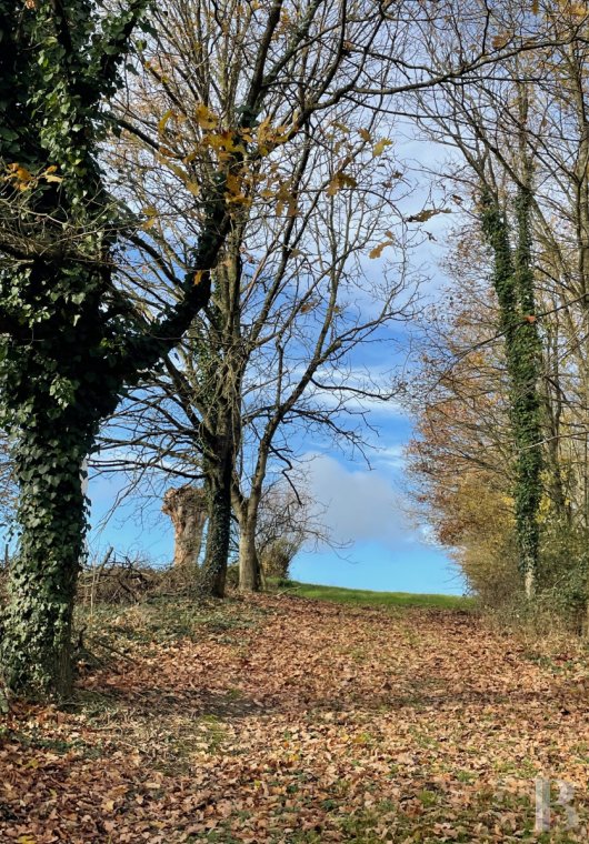 France mansions for sale pays de loire   - 14