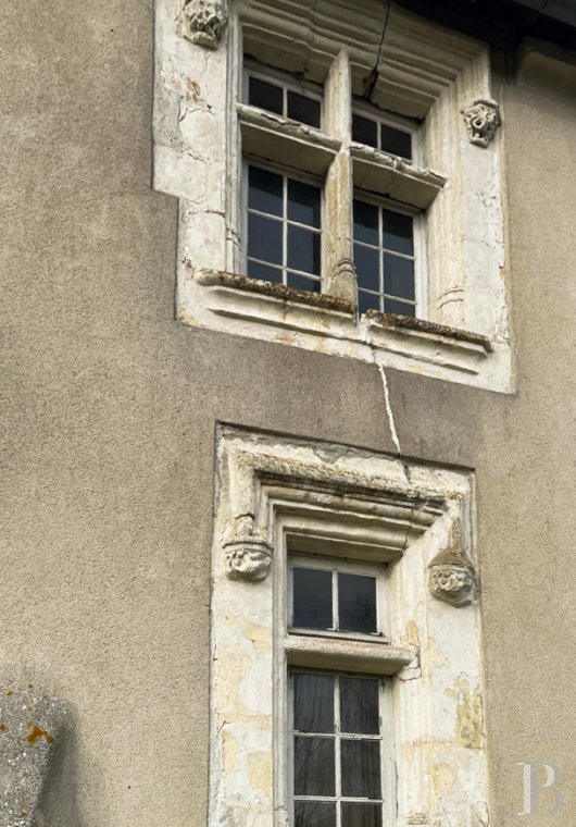 France mansions for sale pays de loire   - 6