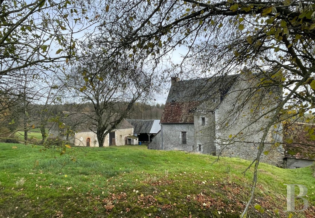 France mansions for sale pays de loire   - 5