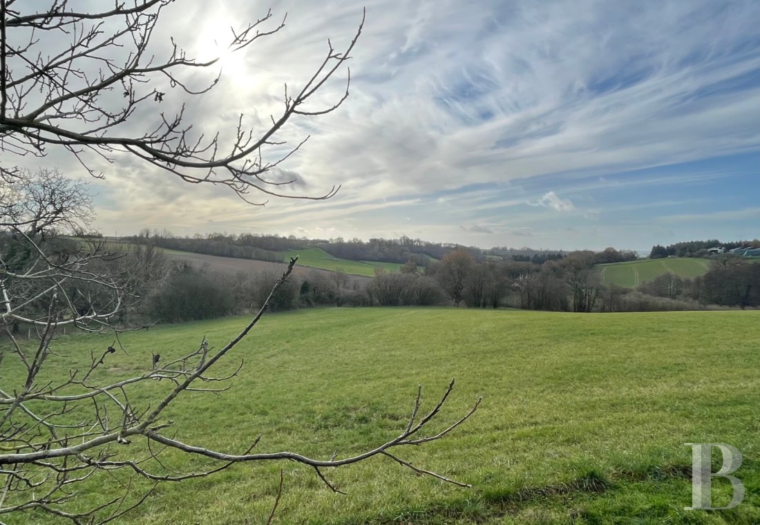 France mansions for sale pays de loire   - 16