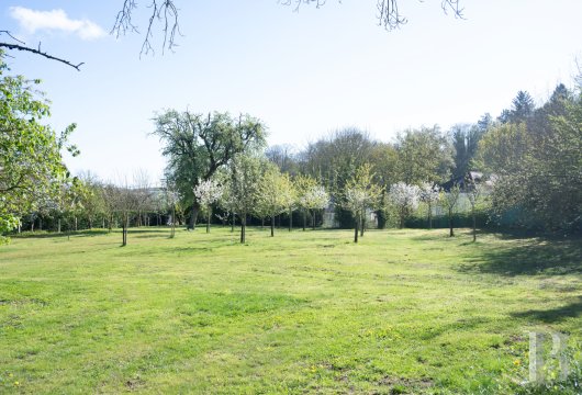 chateaux for sale France picardy   - 18