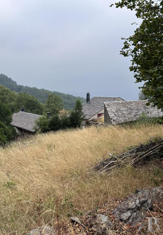 demeures et maisons a vendre france midi pyrenees   - 9