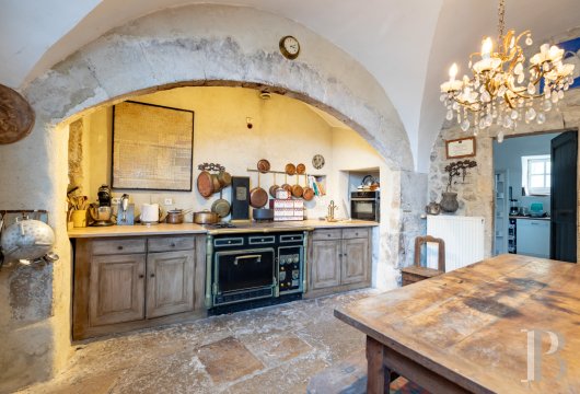 chateaux a vendre rhones alpes   - 12