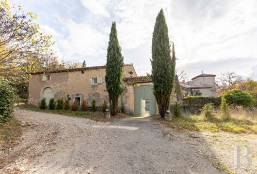 chateaux a vendre rhones alpes   - 5