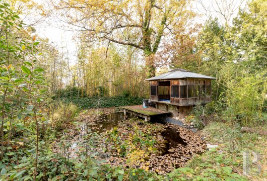 chateaux a vendre rhones alpes   - 20