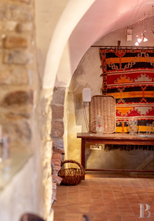 chateaux a vendre rhones alpes   - 14