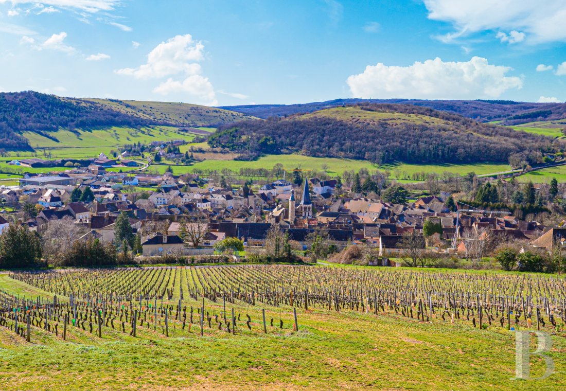 maisons de caractere a vendre bourgogne   - 12