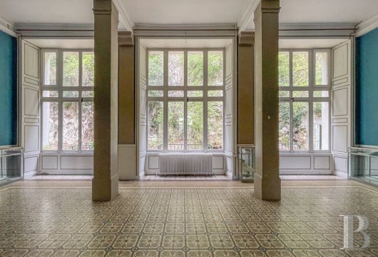 chateaux a vendre ile de france   - 4