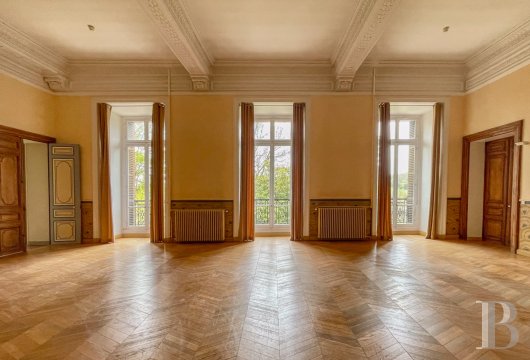 chateaux a vendre ile de france   - 6