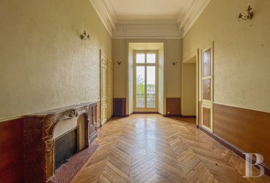 chateaux a vendre ile de france   - 8