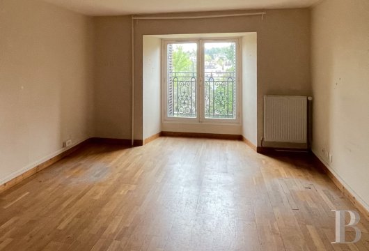 chateaux a vendre ile de france   - 9